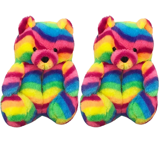 Rainbow - Teddy Bear Slippers